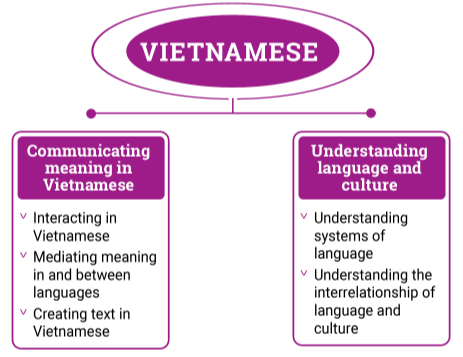 Figure 2: Vietnamese content structure